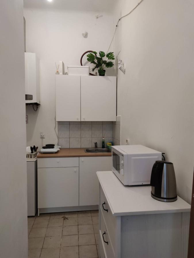 Room With Privat Shower In 3 Rooms Apartment Wiedeń Zewnętrze zdjęcie